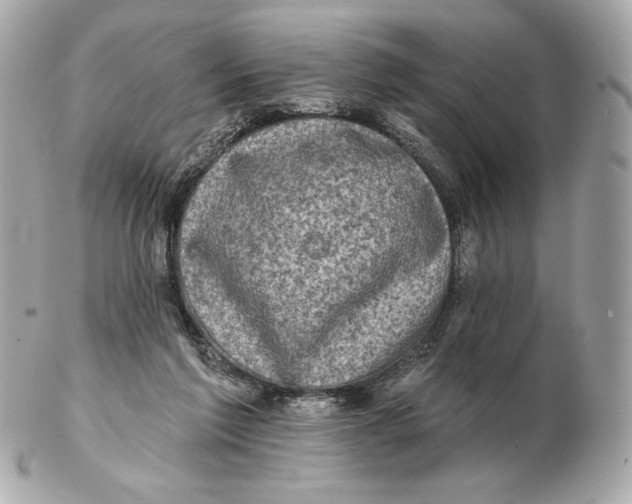 X0000102500213200808291718