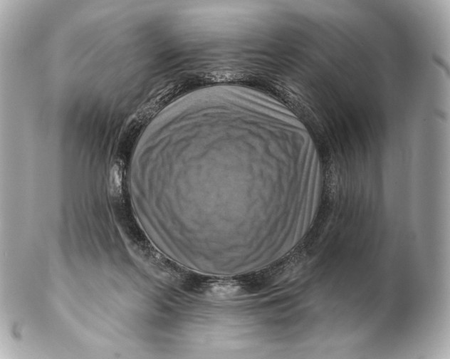 X0000102500214200808291718