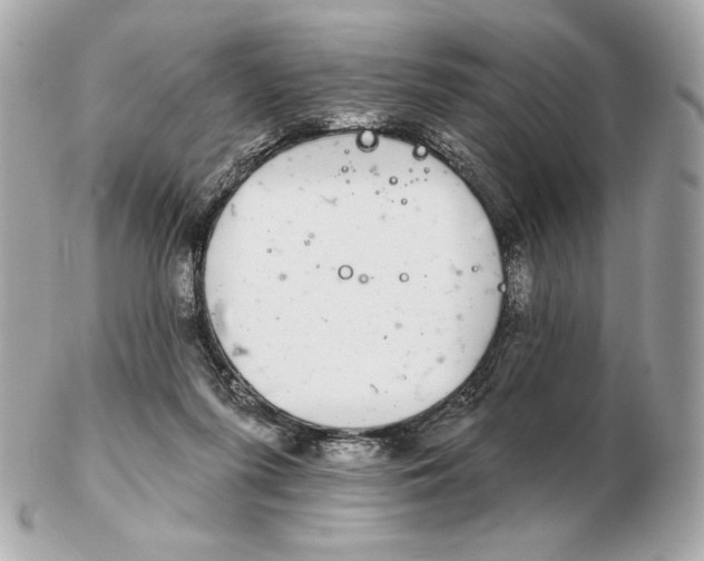 X0000102500215200808291718