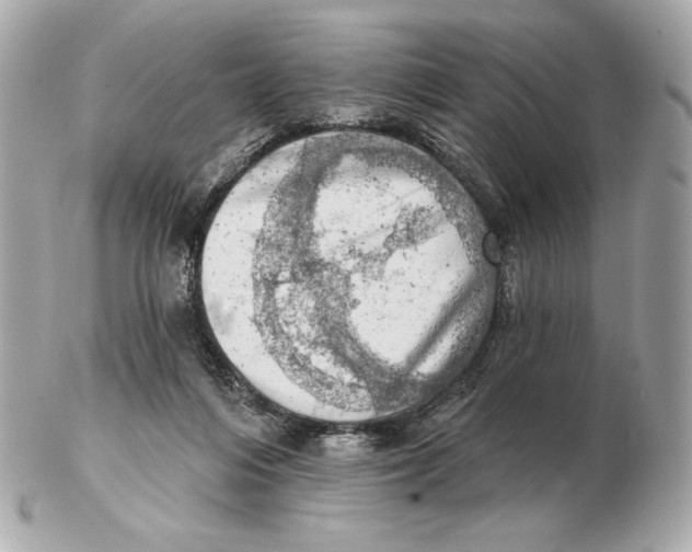 X0000102500216200808291718