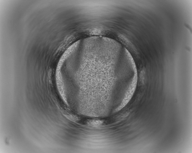 X0000102500217200808291718