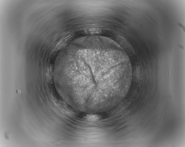 X0000102500218200808291718