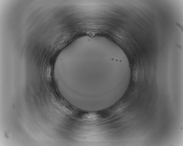 X0000102500219200808291718