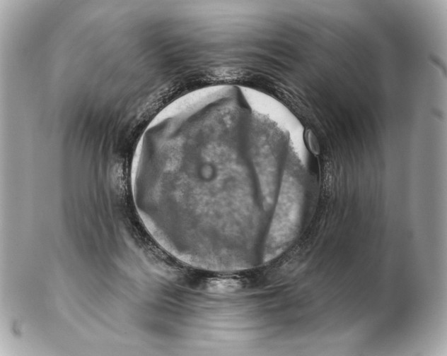 X0000102500220200808291718