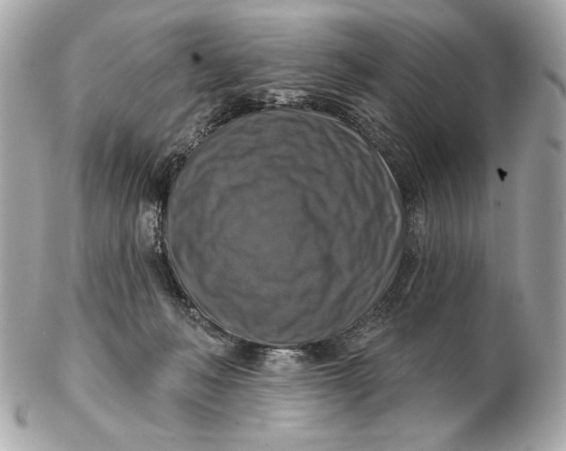 X0000102500222200808291718