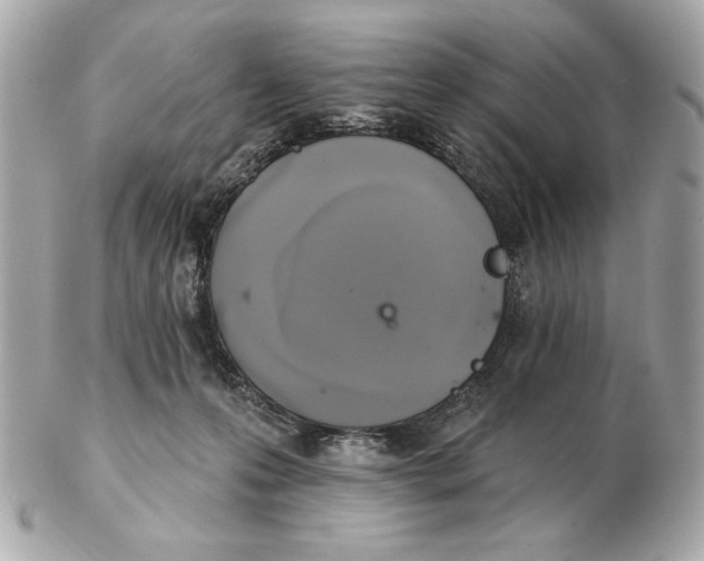 X0000102500223200808291718