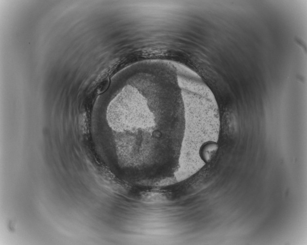 X0000102500224200808291718