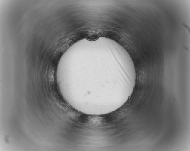 X0000102500226200808291718