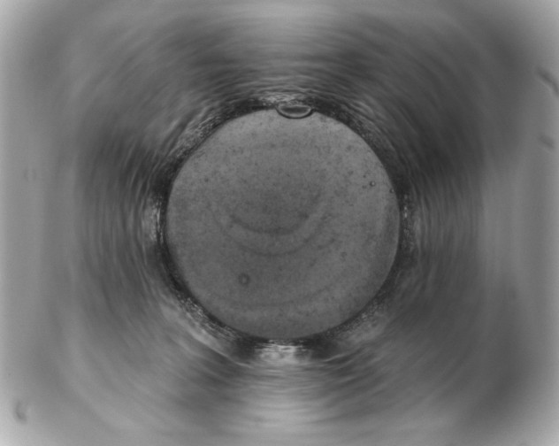 X0000102500227200808291718