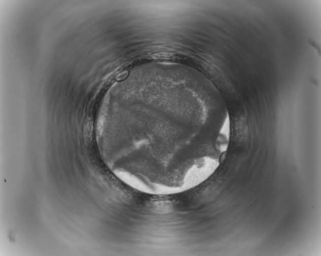 X0000102500228200808291718