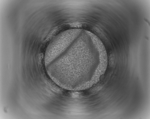 X0000102500229200808291718