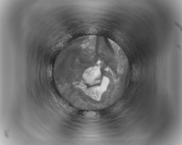 X0000102500230200808291718