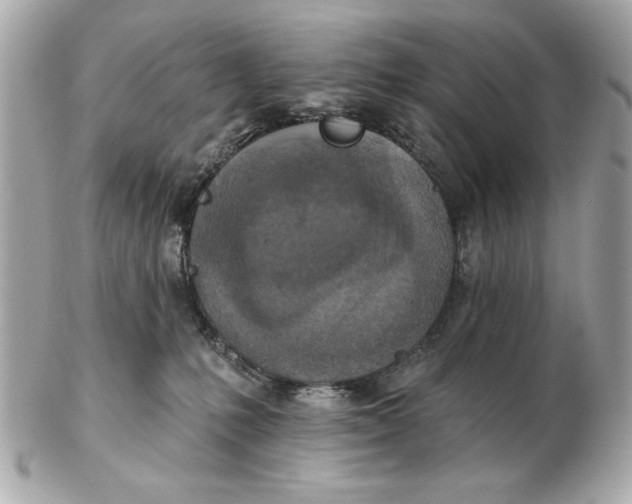 X0000102500231200808291718