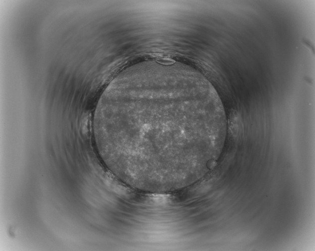 X0000102500233200808291718