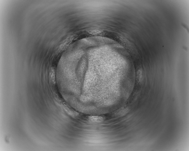 X0000102500234200808291718