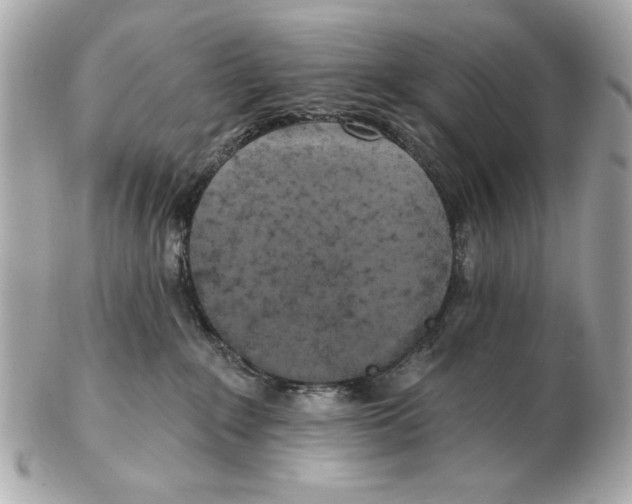 X0000102500235200808291718