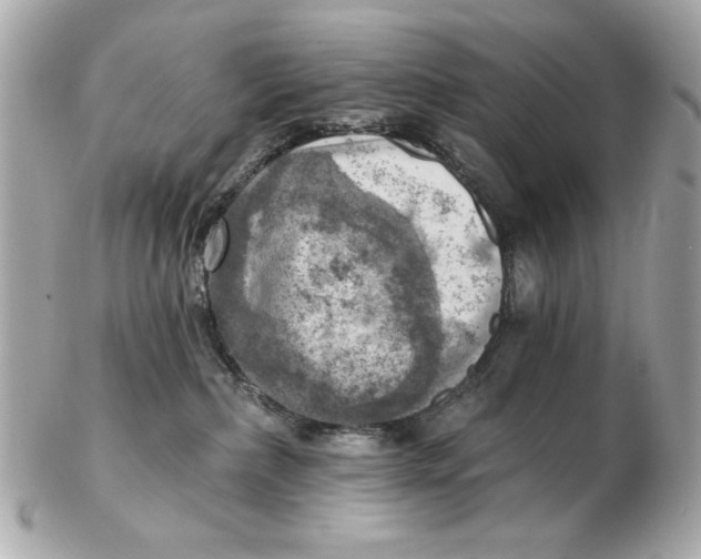 X0000102500236200808291718