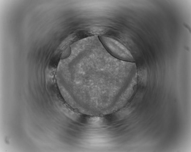 X0000102500237200808291718