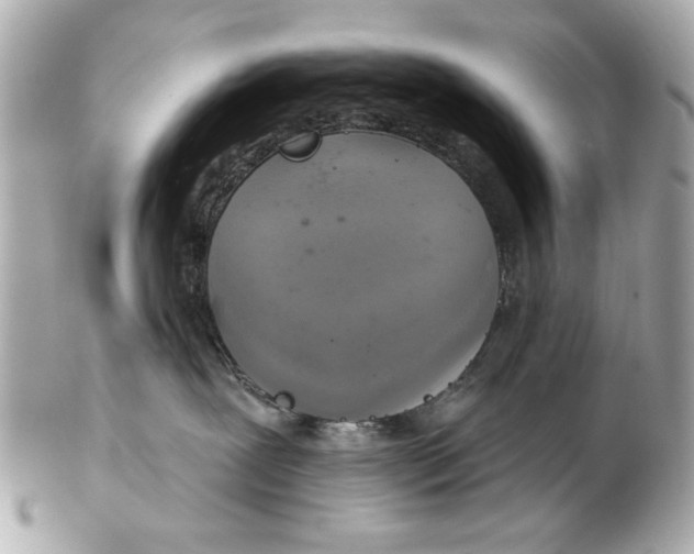 X0000102500239200808291718