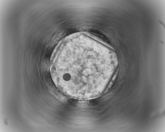 X0000102500240200808291718