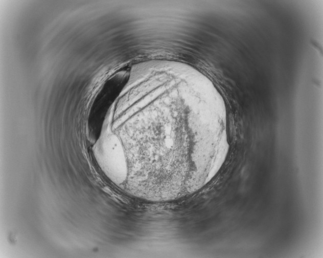 X0000102500241200808291717