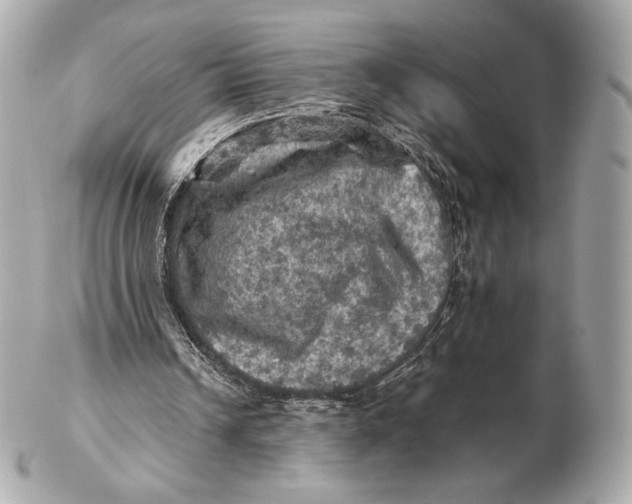 X0000102500242200808291717