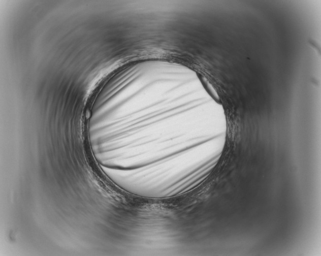 X0000102500244200808291717