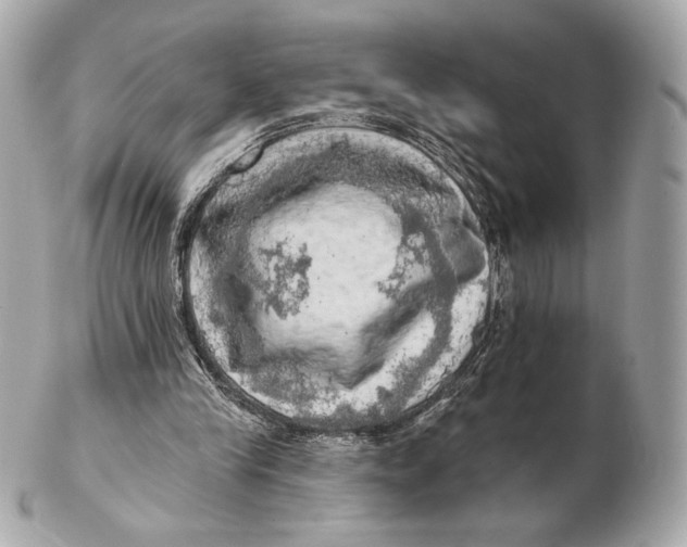 X0000102500245200808291717