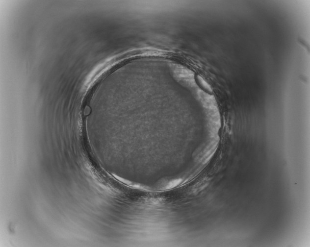 X0000102500247200808291717