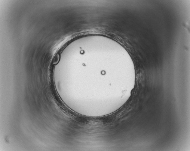 X0000102500248200808291717