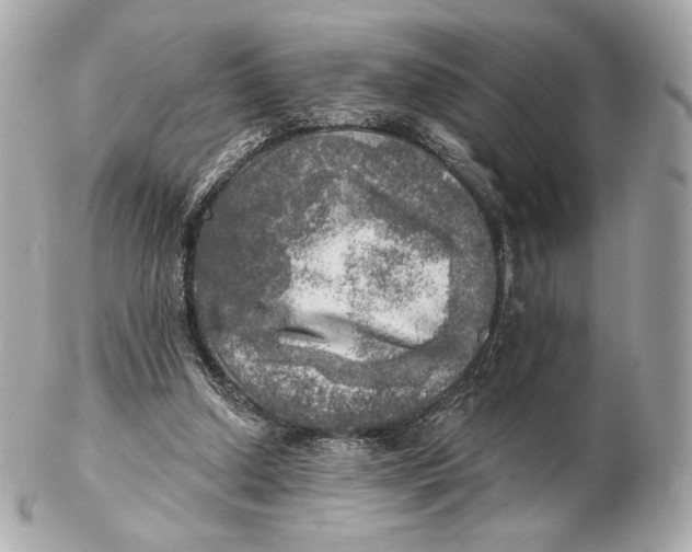 X0000102500250200808291717