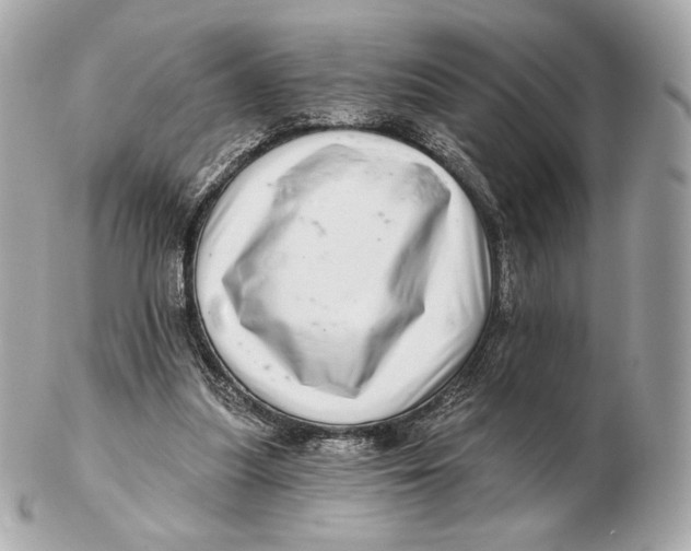 X0000102500251200808291717