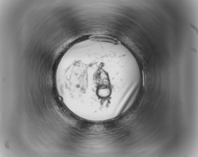 X0000102500252200808291717