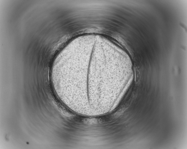 X0000102500253200808291717