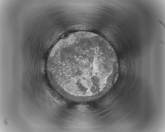 X0000102500255200808291718