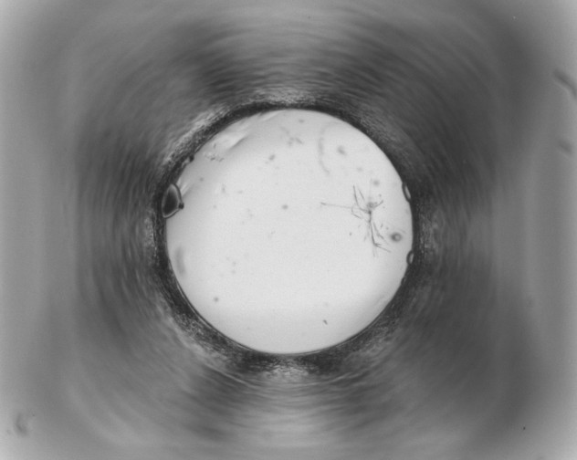 X0000102500256200808291718