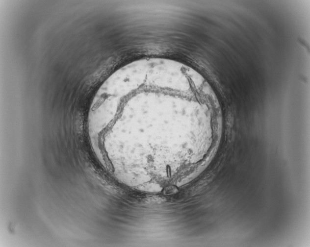 X0000102500257200808291718