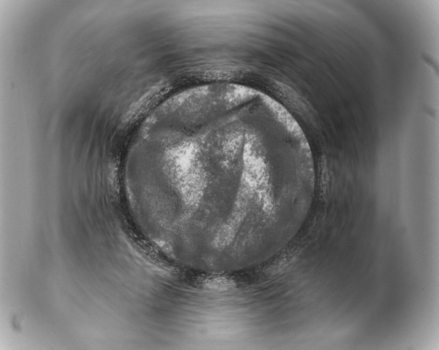 X0000102500258200808291718