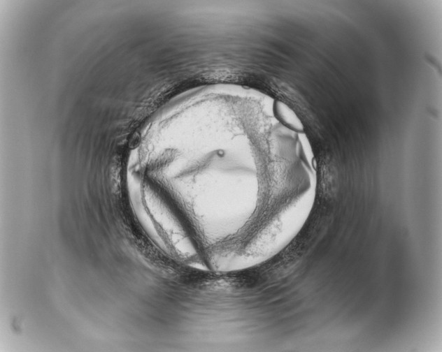 X0000102500259200808291718