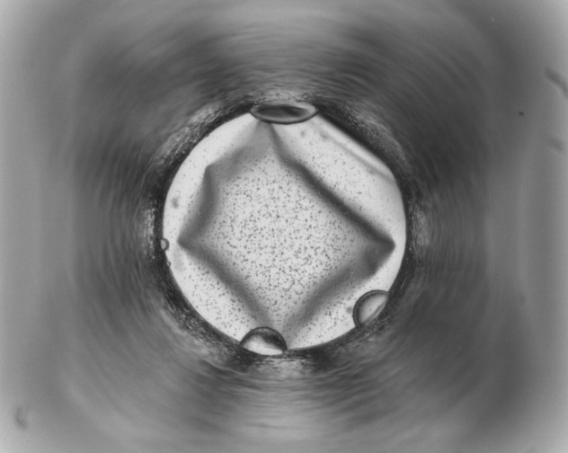 X0000102500260200808291718