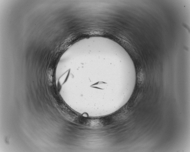 X0000102500264200808291718