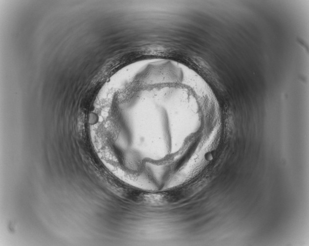 X0000102500265200808291718