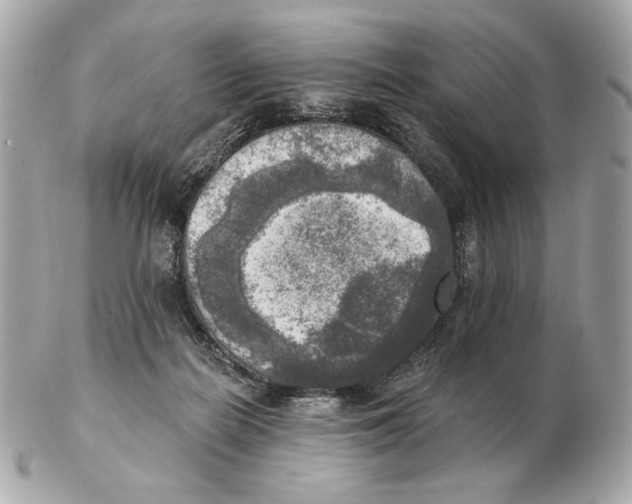 X0000102500266200808291718