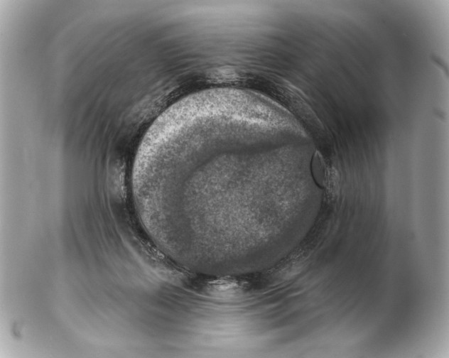 X0000102500267200808291718