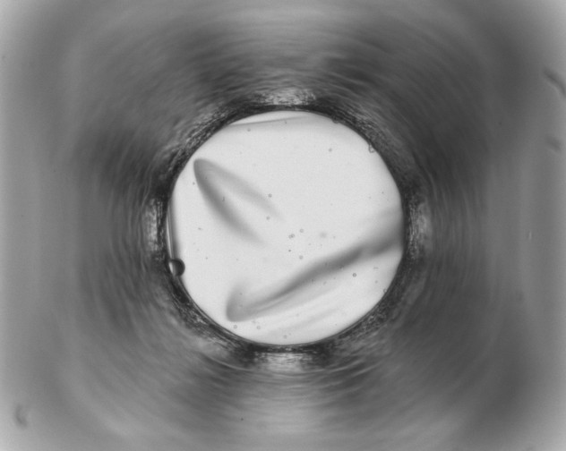 X0000102500268200808291718