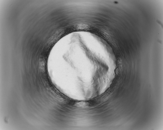 X0000102500269200808291718