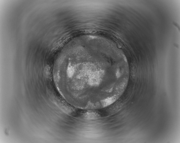 X0000102500270200808291718