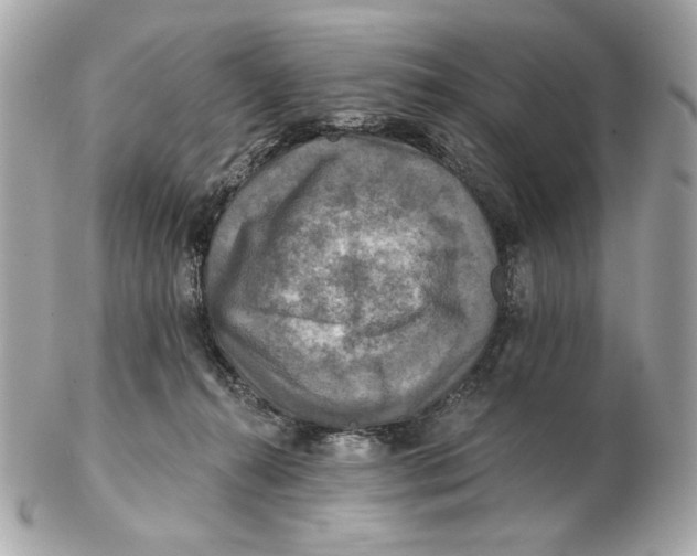 X0000102500272200808291718