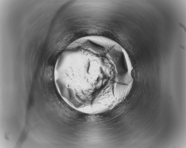 X0000102500273200808291718