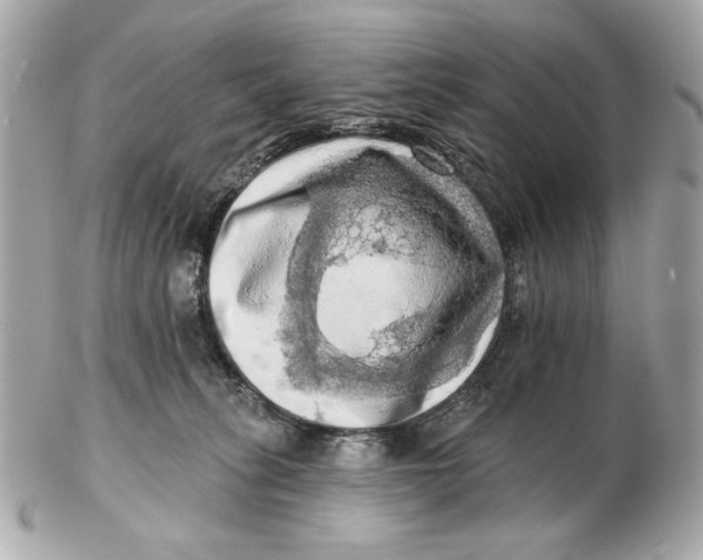 X0000102500275200808291718